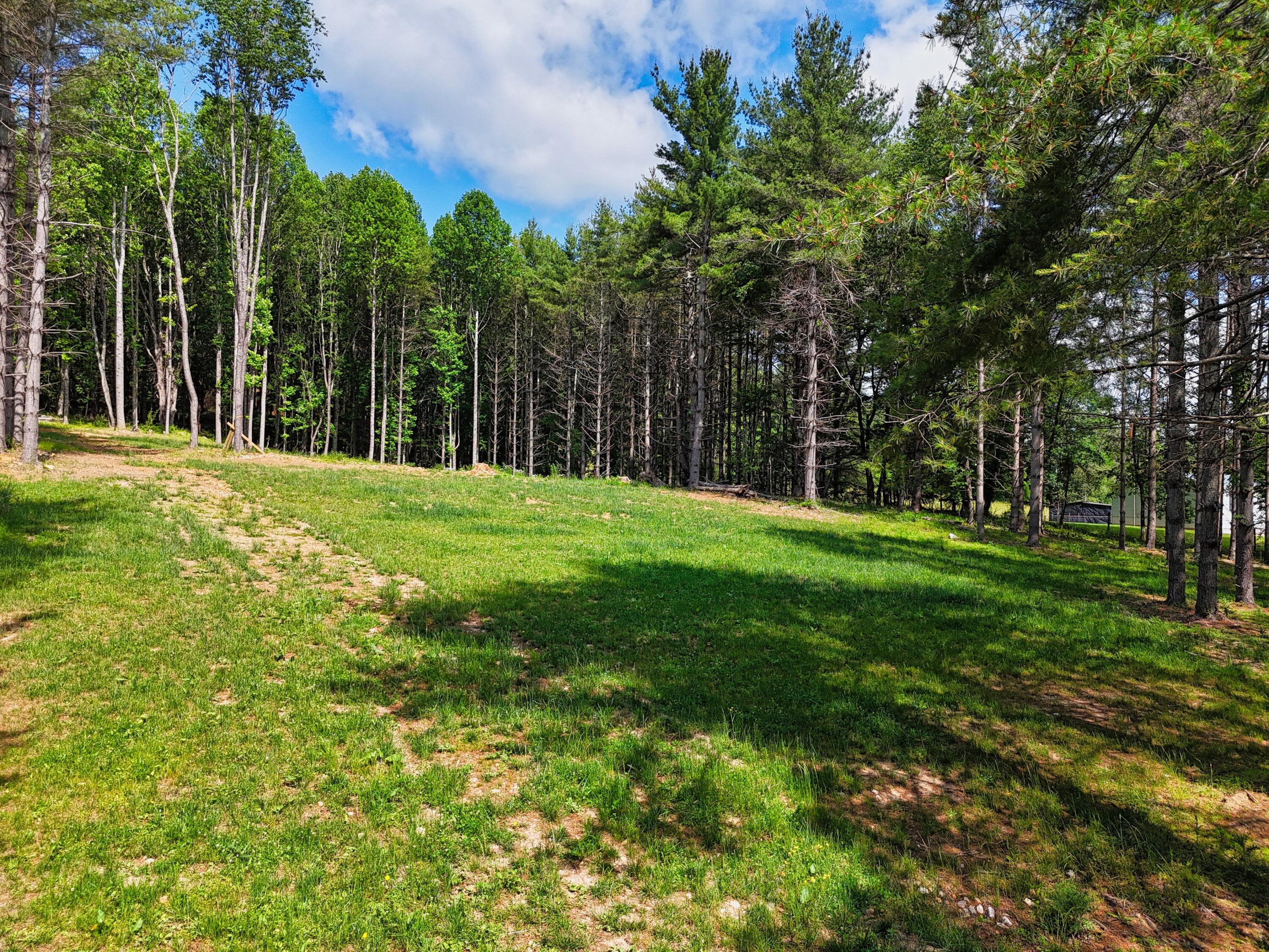 Image 2: DJI_20260611104620_0602_D