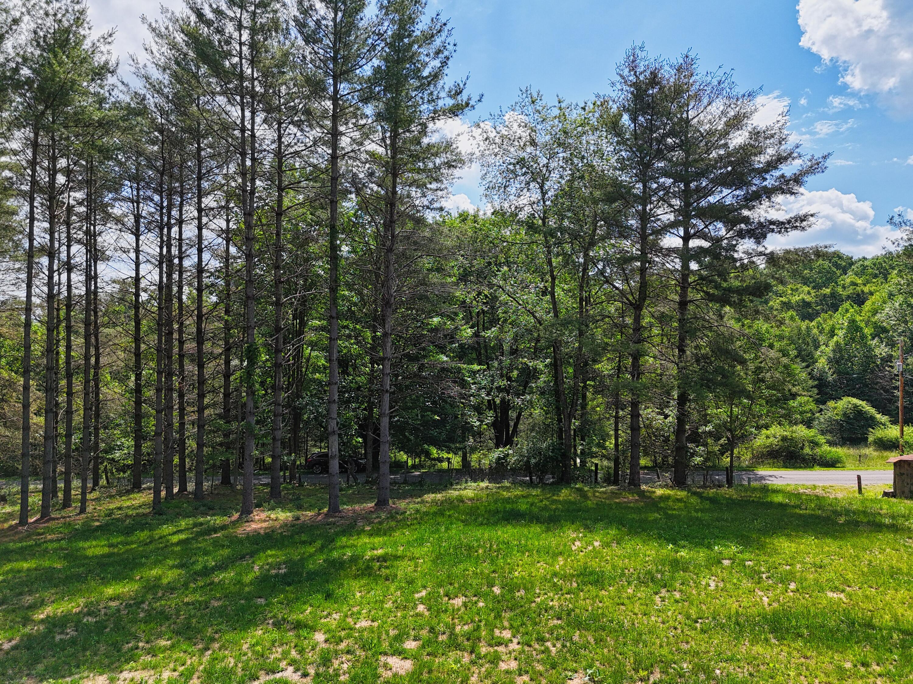 Image 3: DJI_20260611104642_0603_D