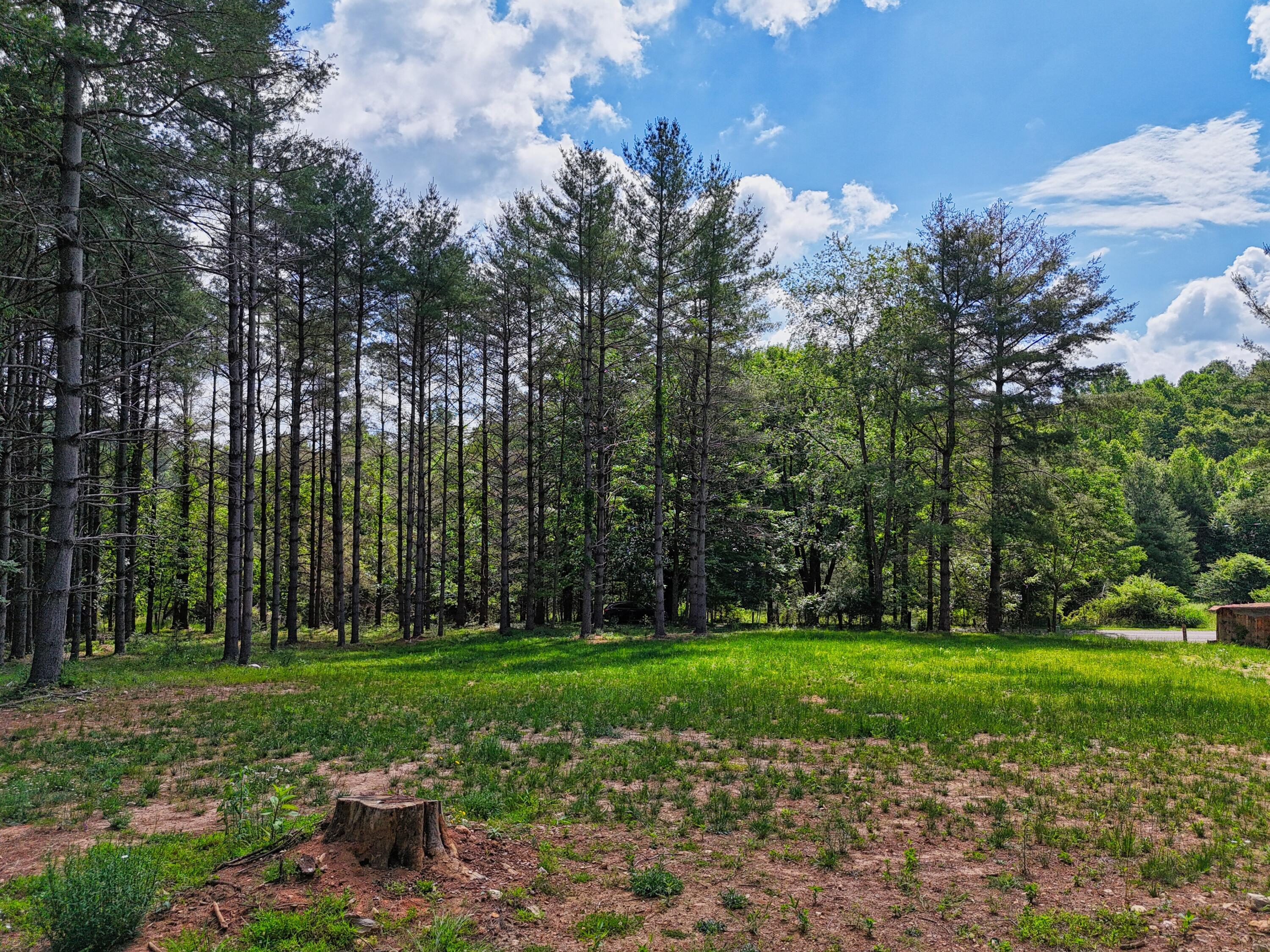Image 4: DJI_20260611104659_0604_D