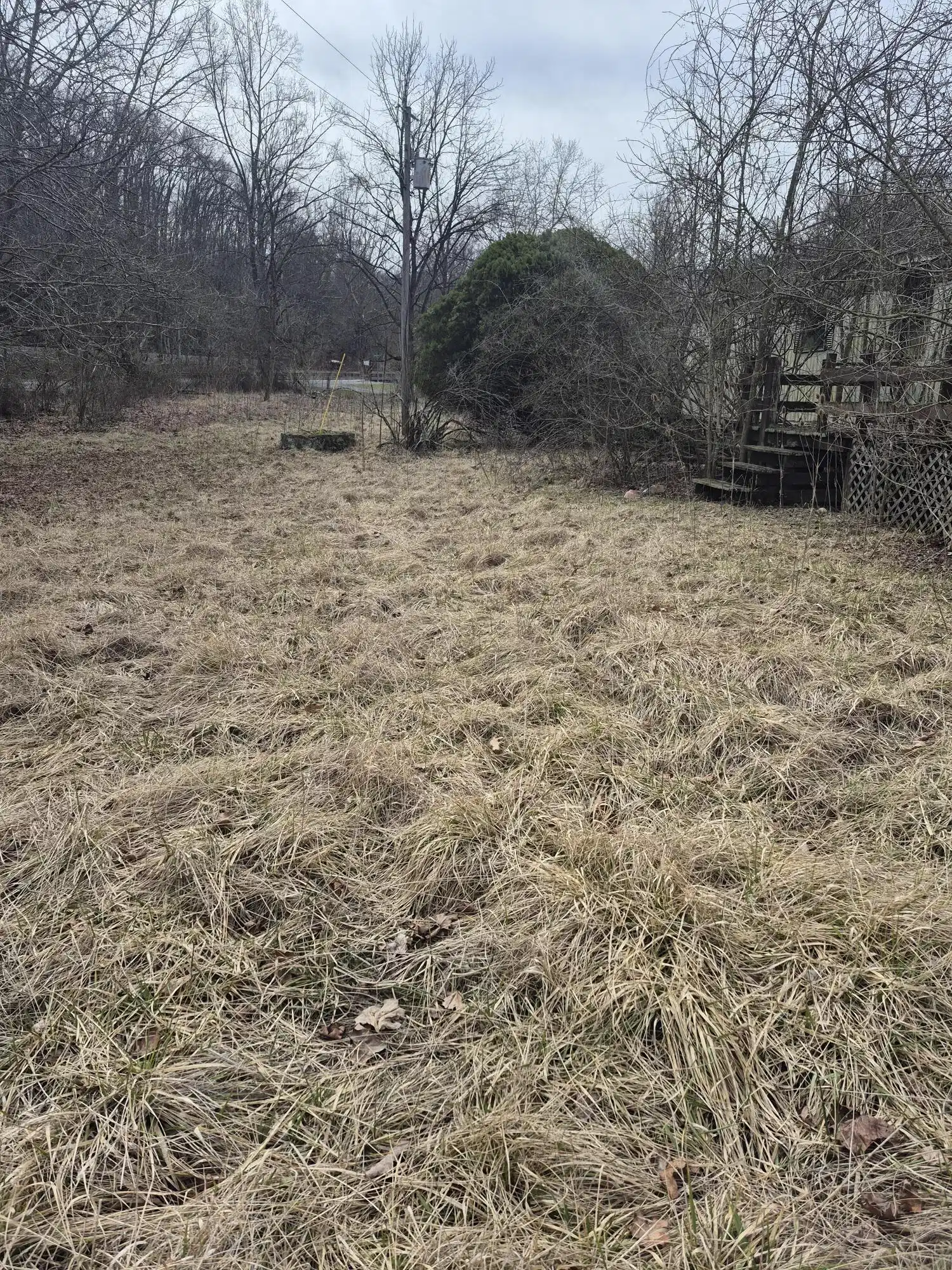 Image 1: 1