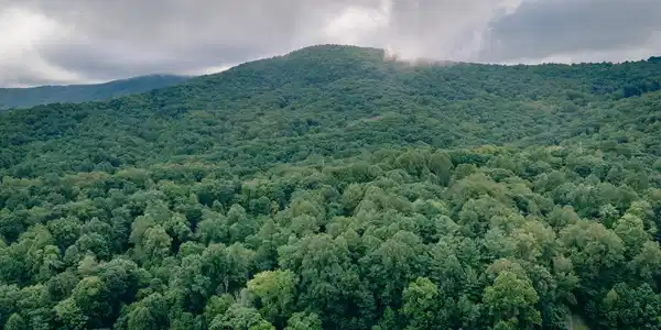Lot #na Crowell Gap RD