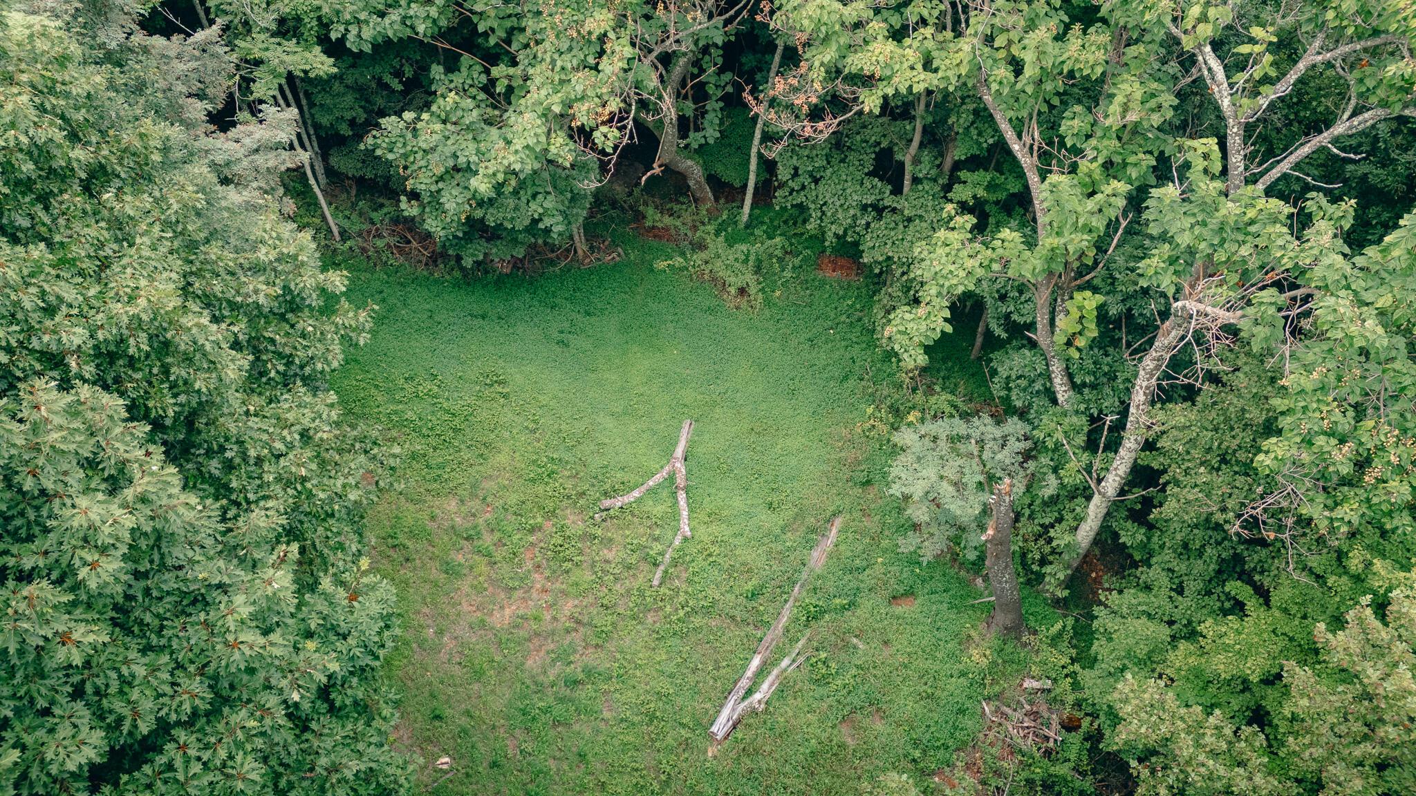 Image 2: Grissom 9