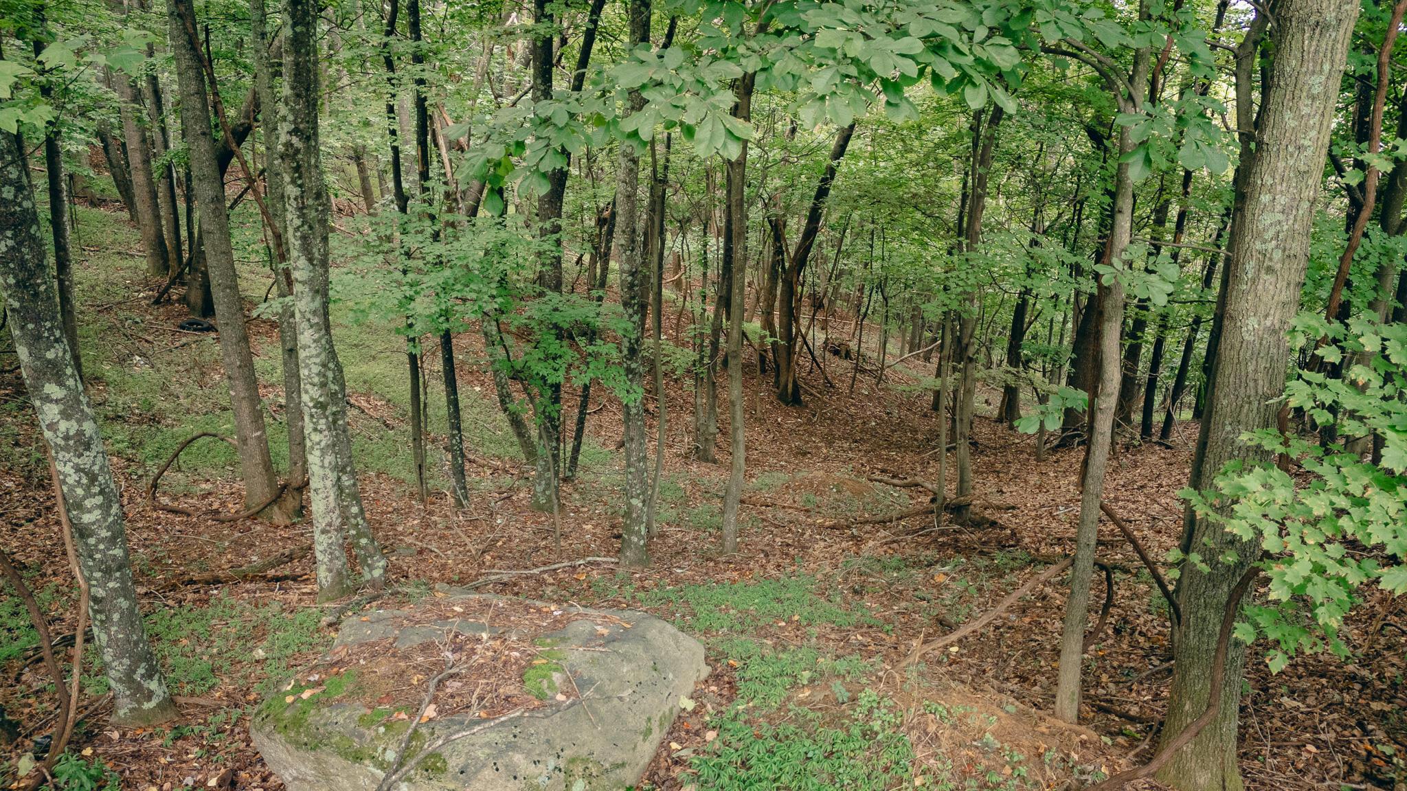 Image 3: Grissom 14