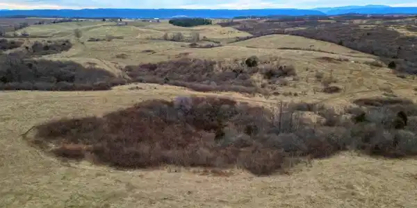 Image 3: DJI_0238