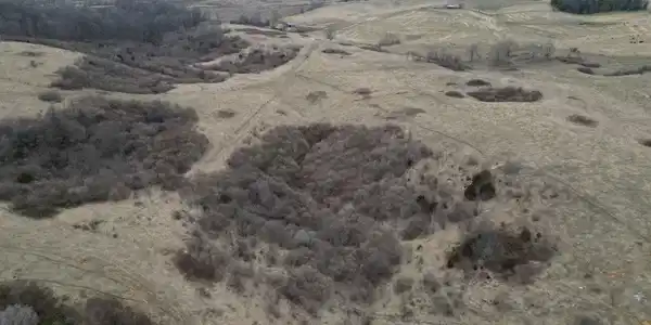 Image 4: DJI_0239