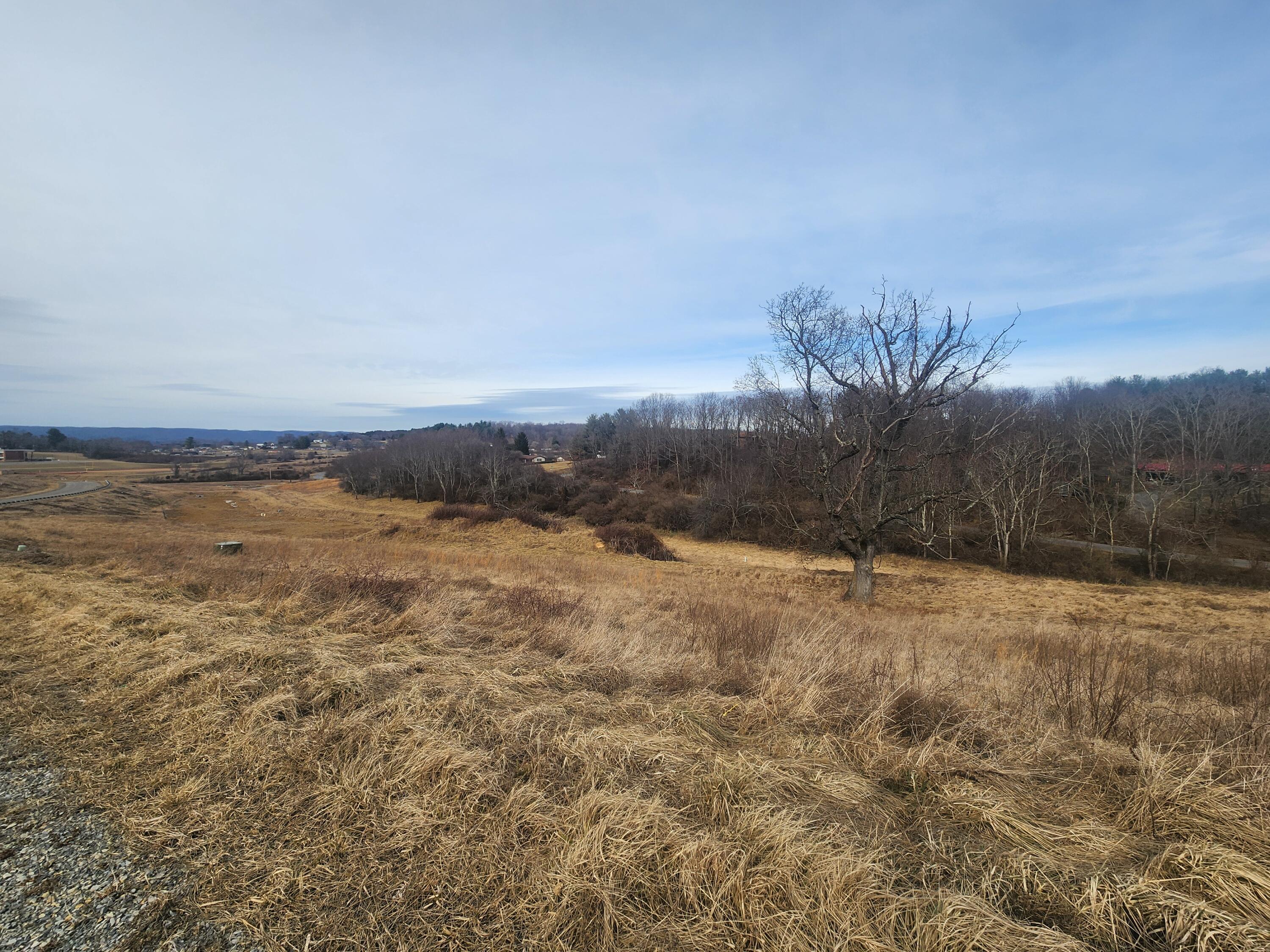 Image 1: CS lot 124 3