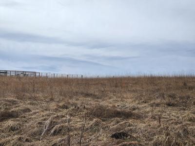 5279 Country Meadow DR