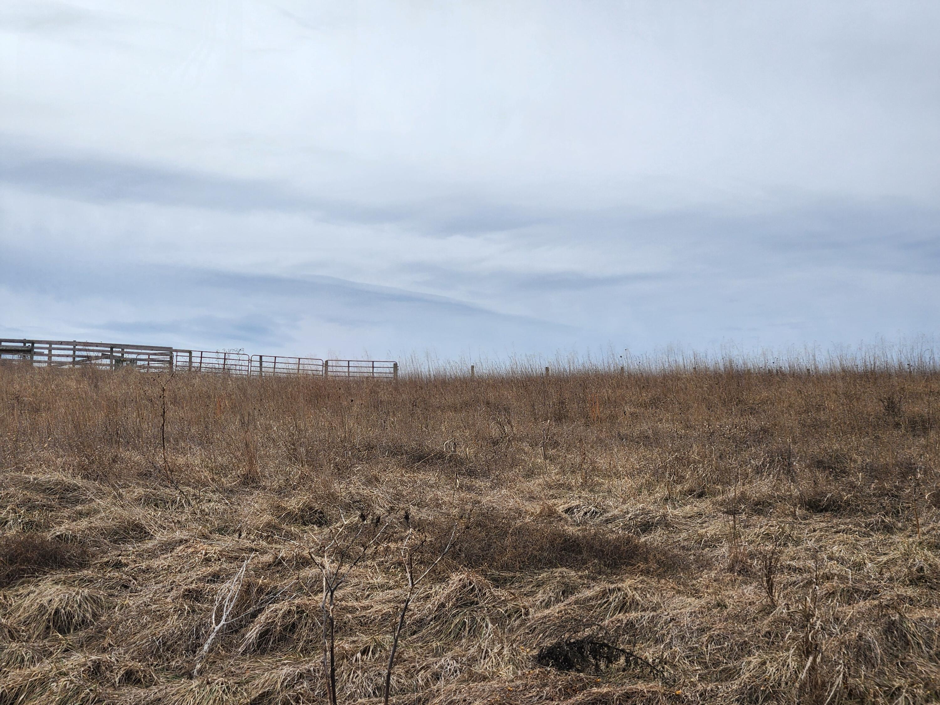 Image 1: CS lot 136 2