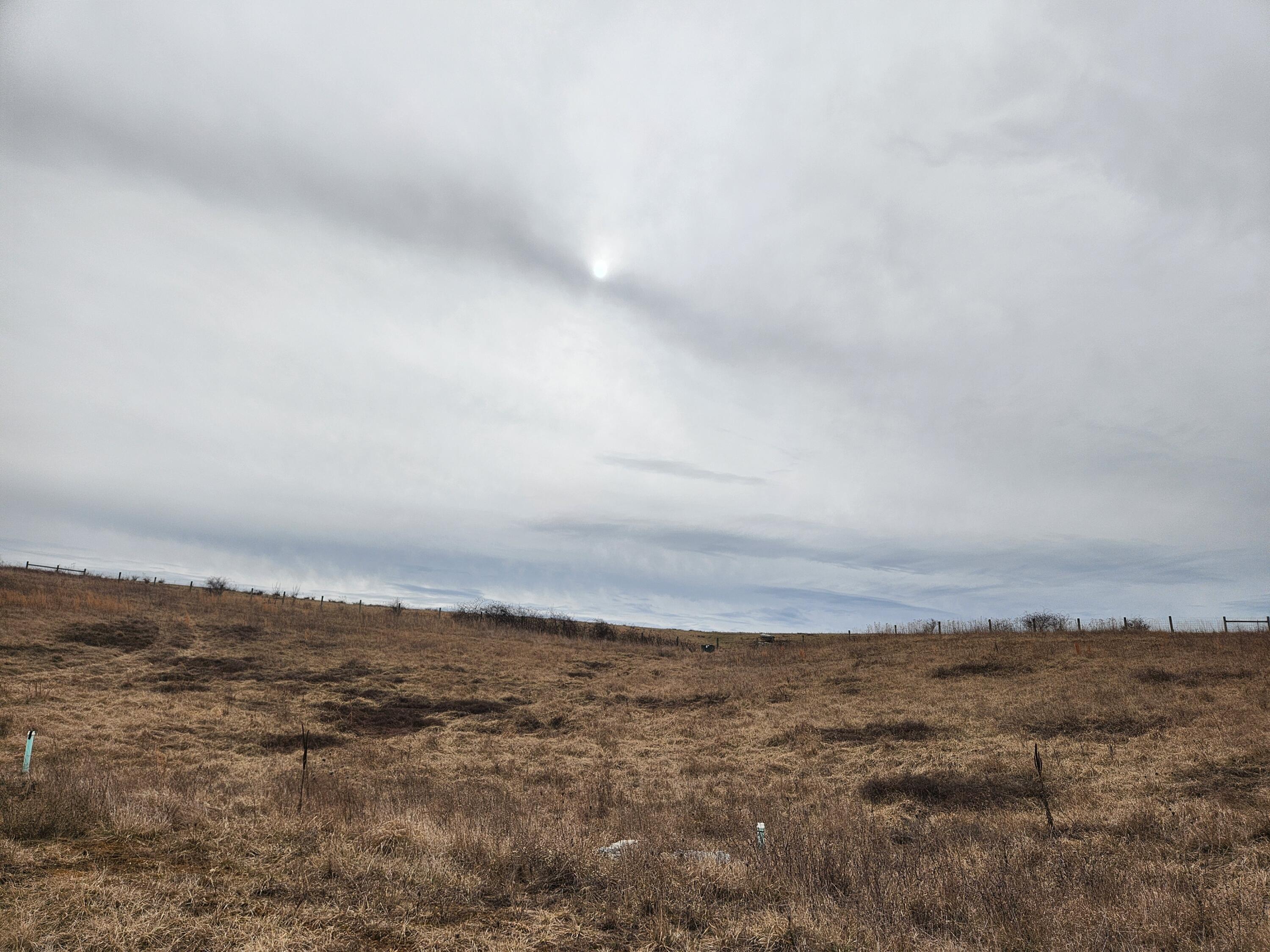 Image 1: CS lot 138 3