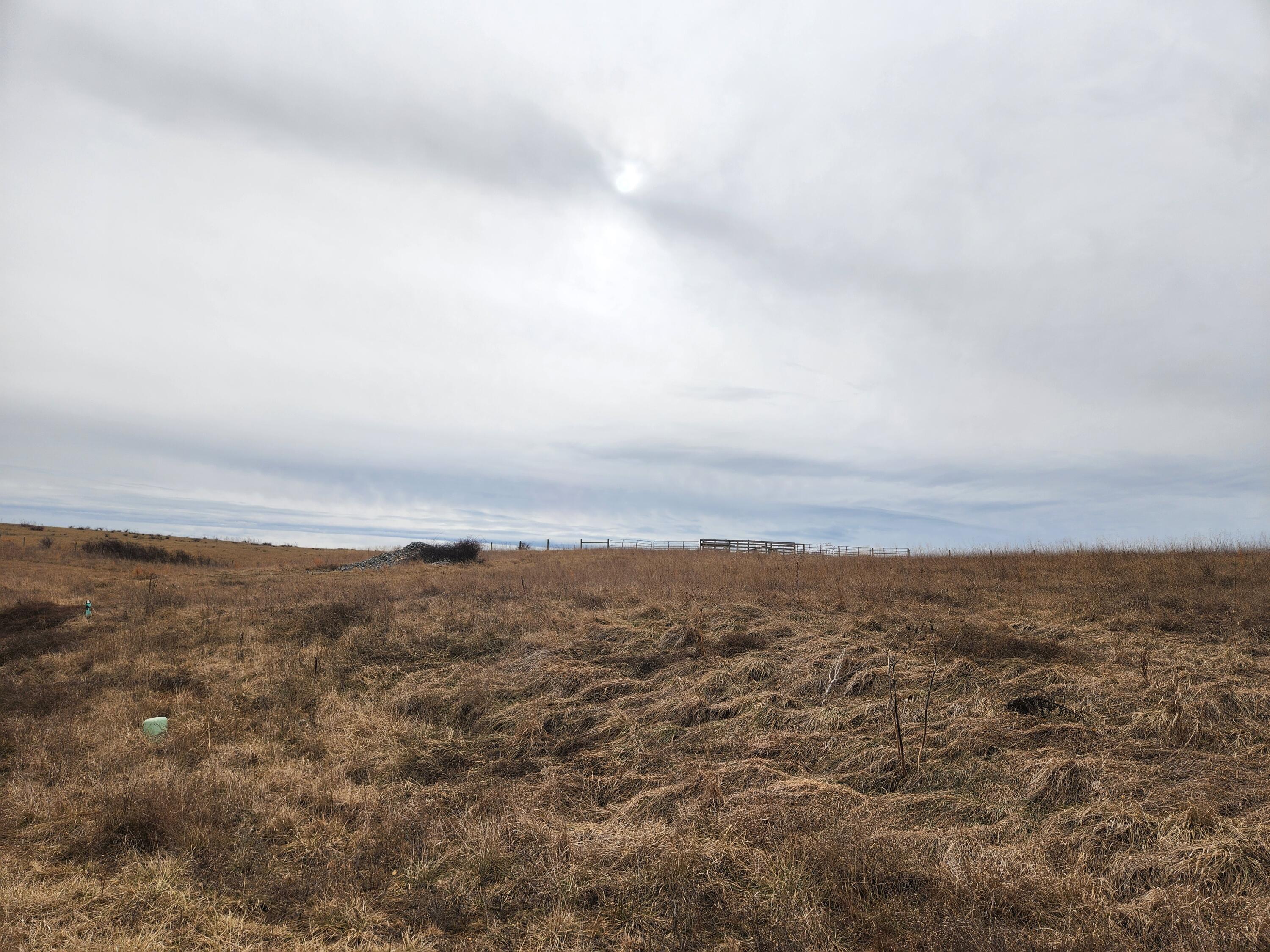 Image 2: CS lot 138 2