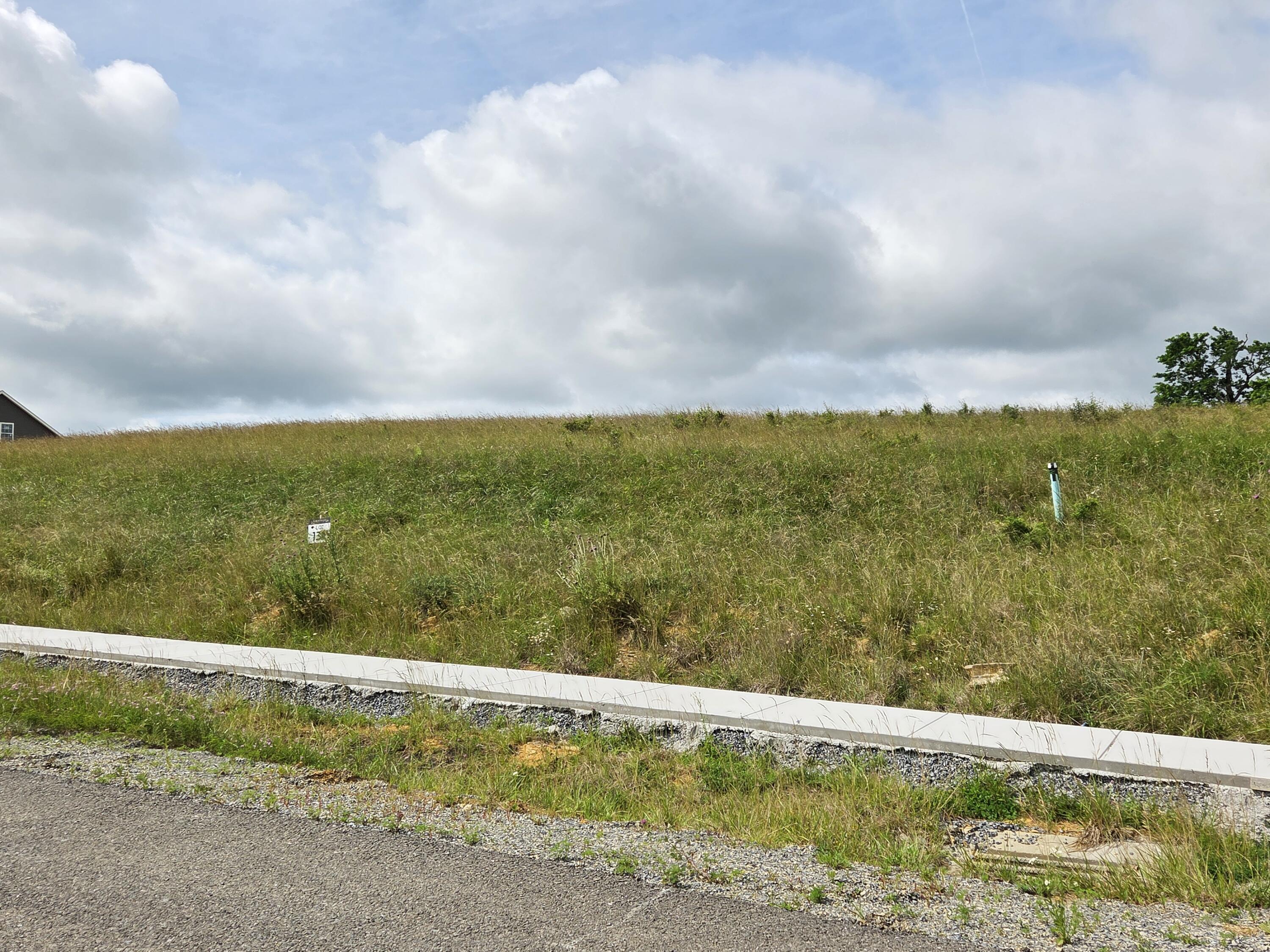 Image 1: CS lot 130 6 19 1