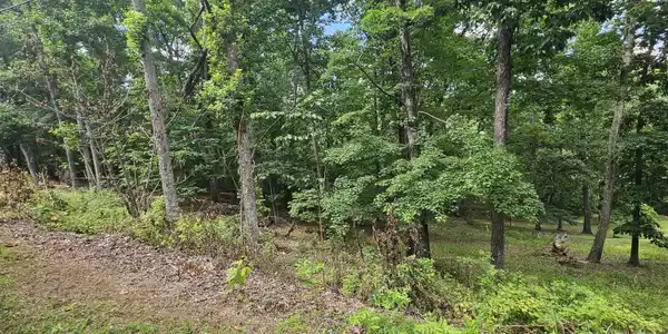 Image 3: 1