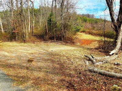 Lot #237 Burks Fork RD