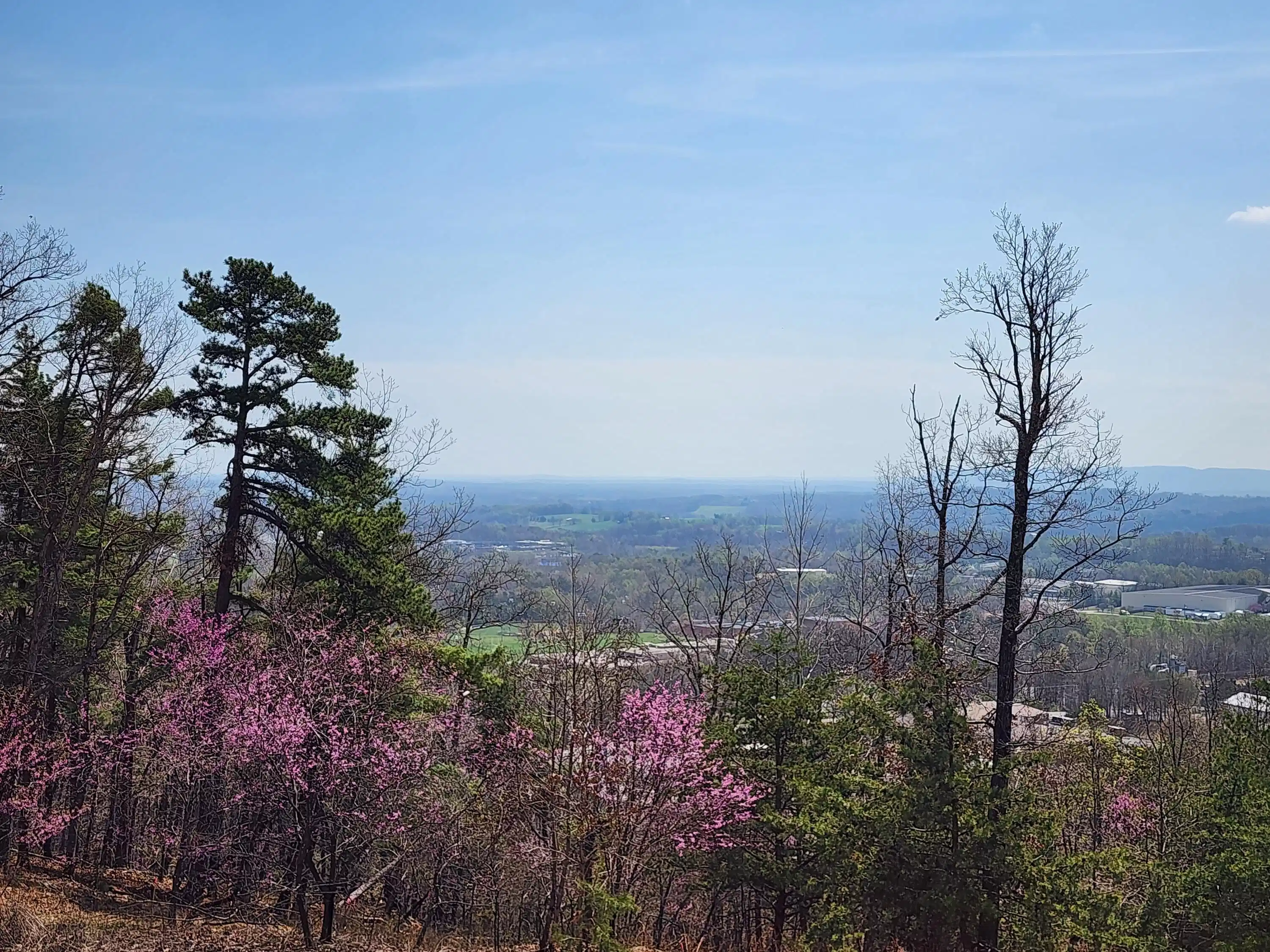 Image 1: Lot 44 summit