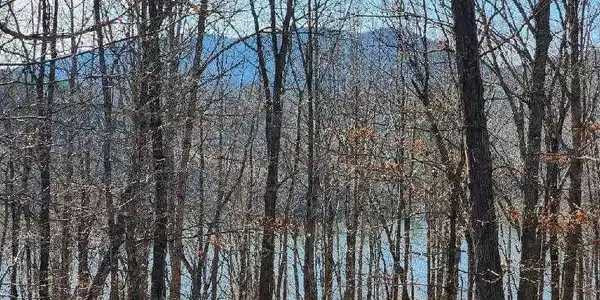 Lot 7 Robin Ridge CT