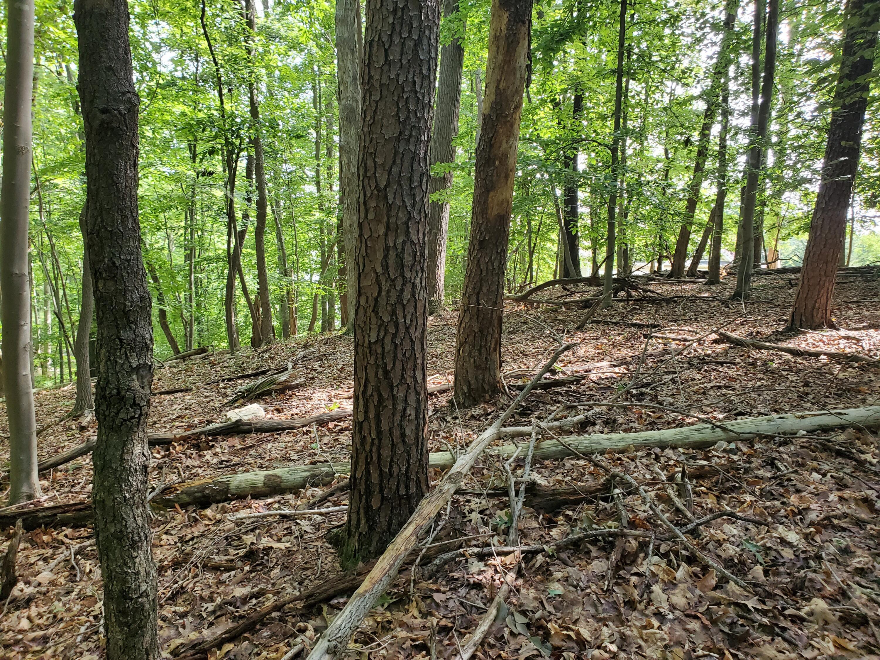 Image 3: 20220707_103606(1)