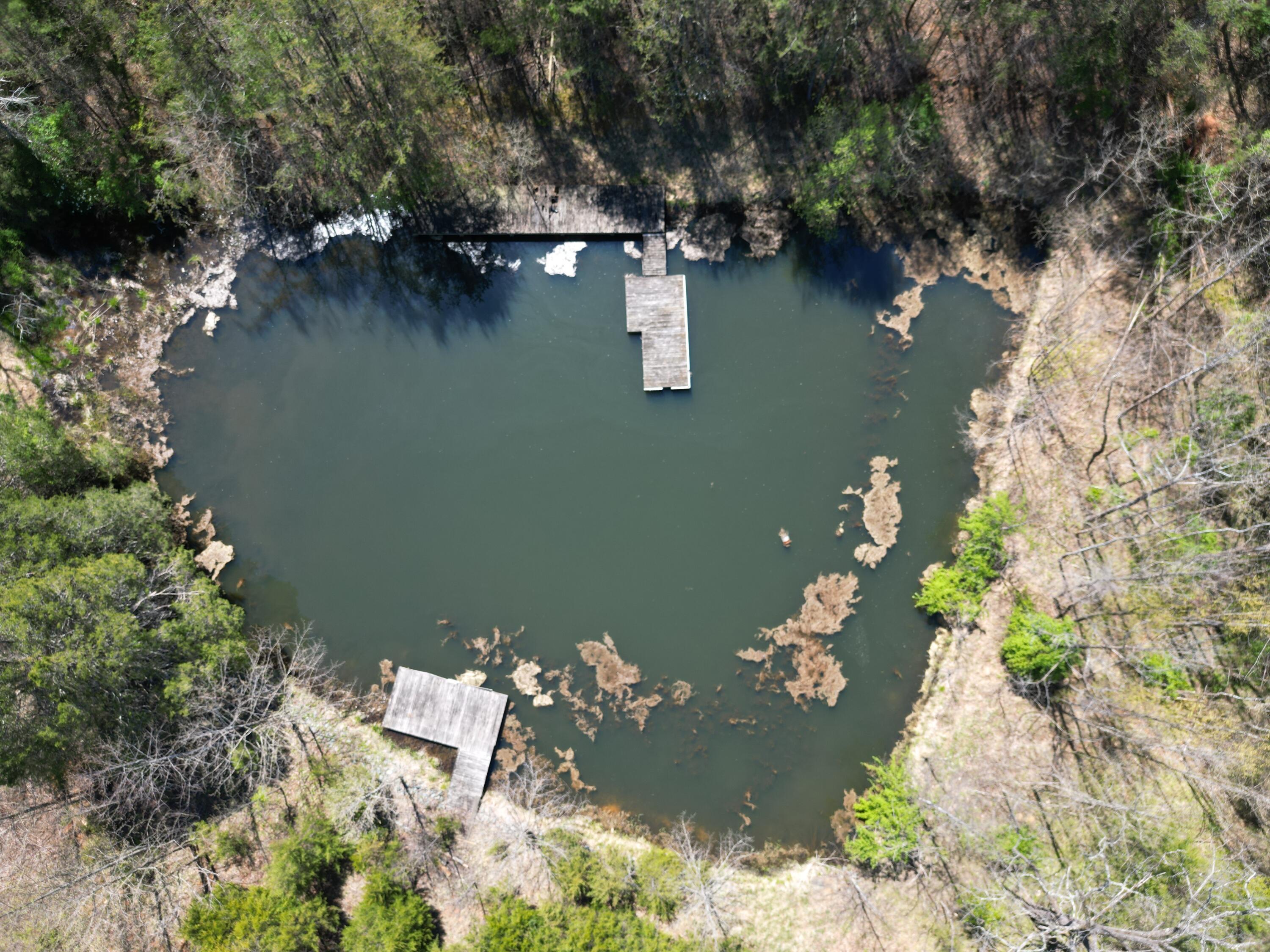 Image 4: dji_fly_20260410_124814_603_177585668961