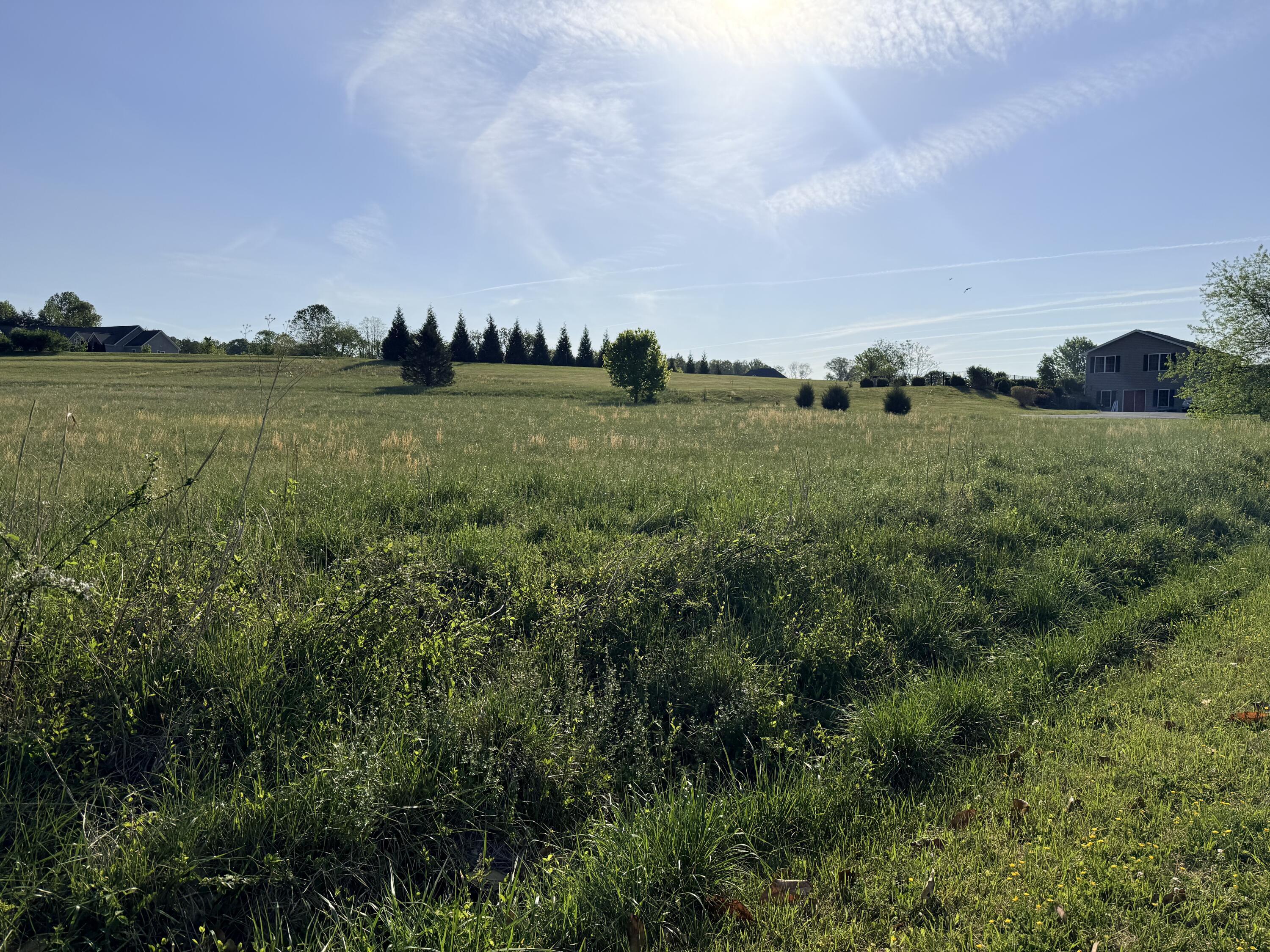 Image 4: lot 15