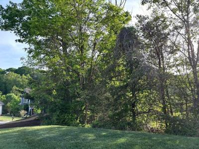 Lot #24 Stickley LN
