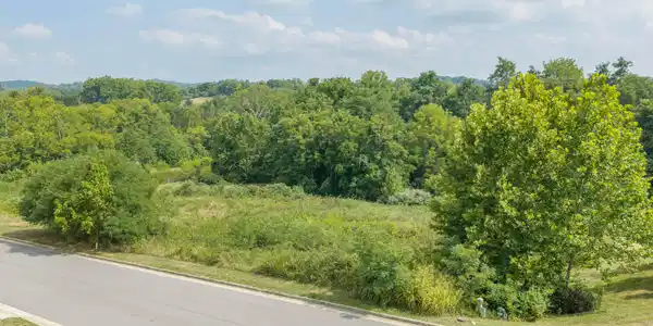 Lot 16 Ridgley LN