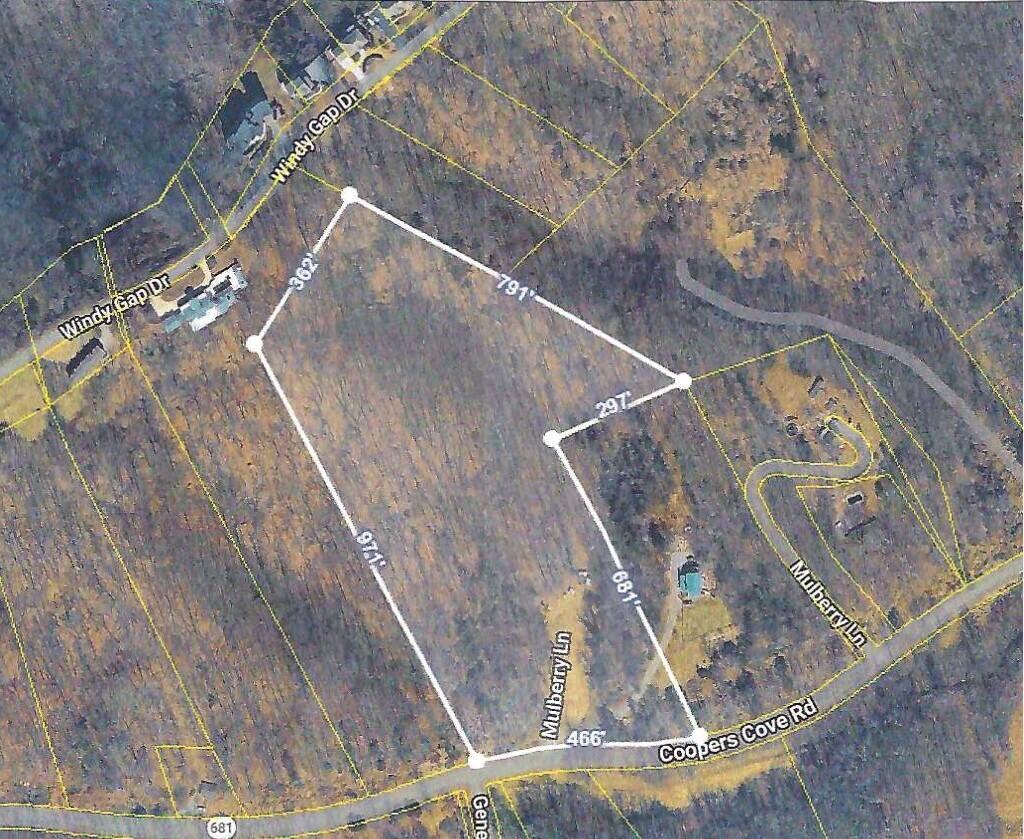 Image 4: 533 Coopers Cove aerial jpg