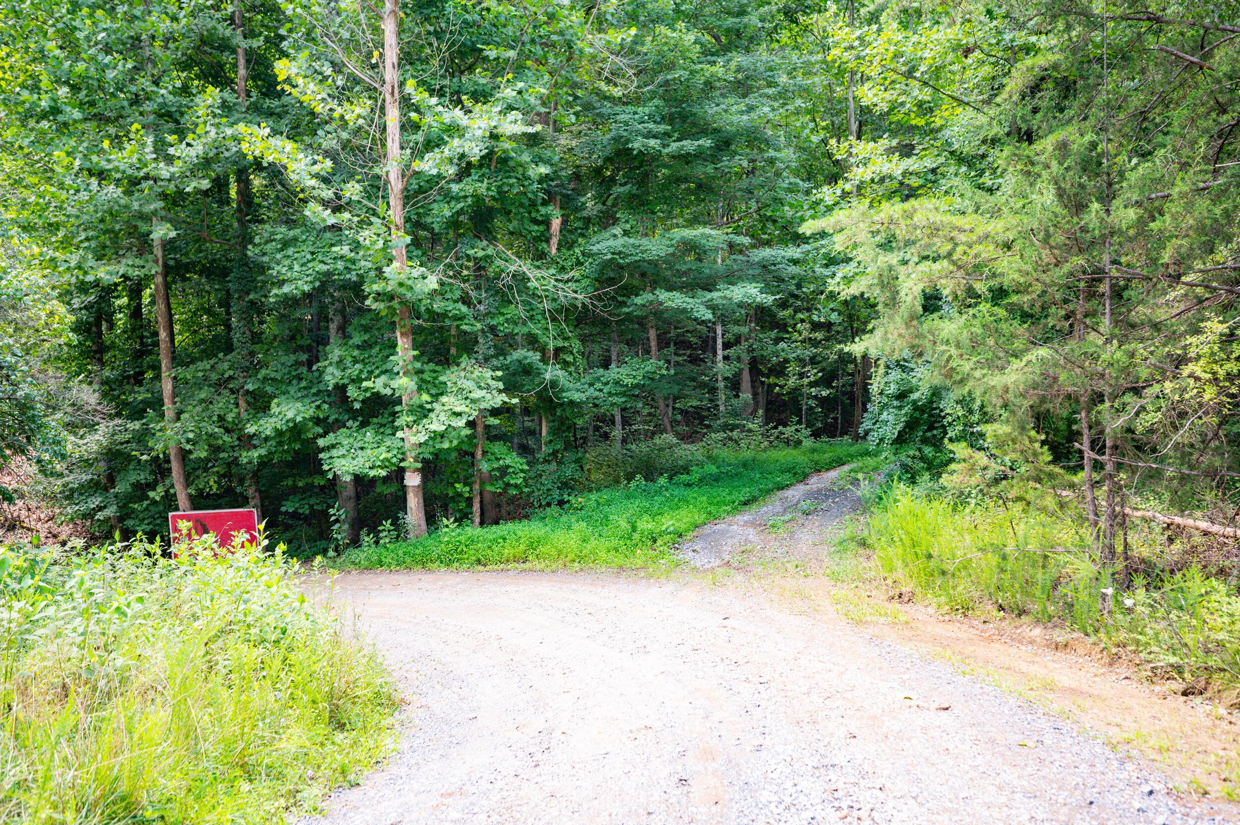 Image 3: 3_adventure_mountain_rd-44