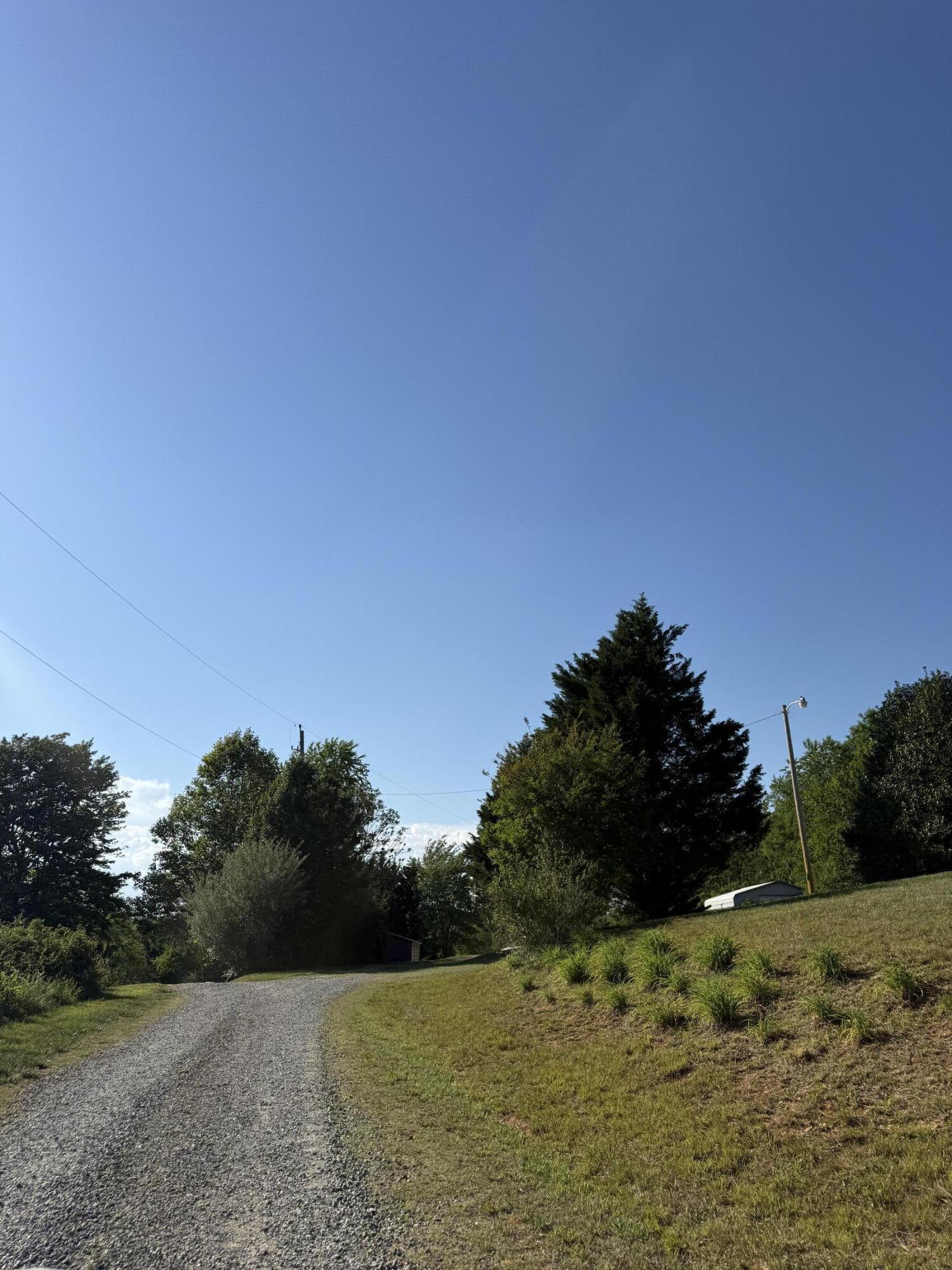 Image 2: IMG_1446