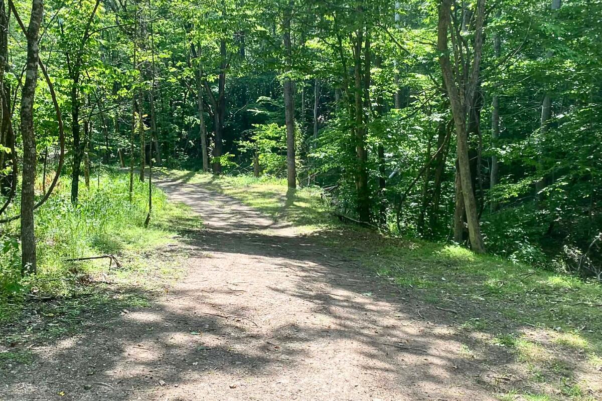 Image 3: land for sale in shawsville va 25