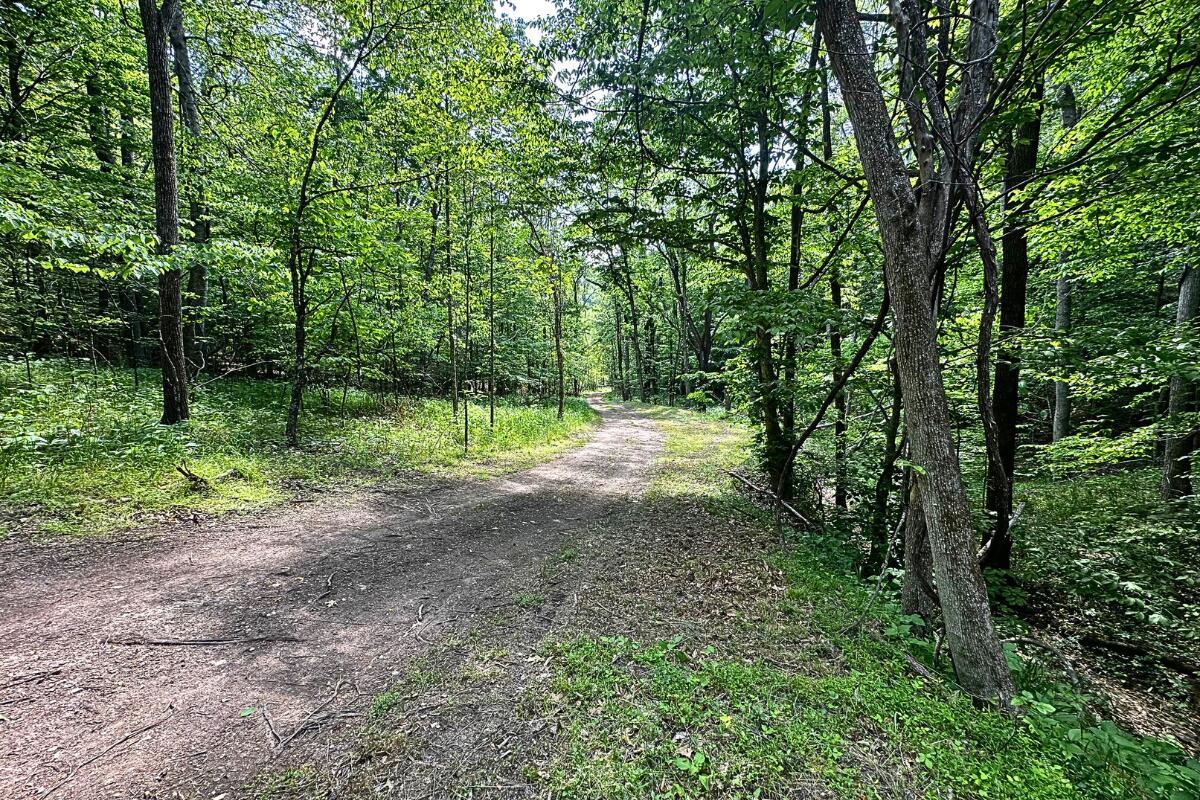 Image 4: land for sale in shawsville va 7