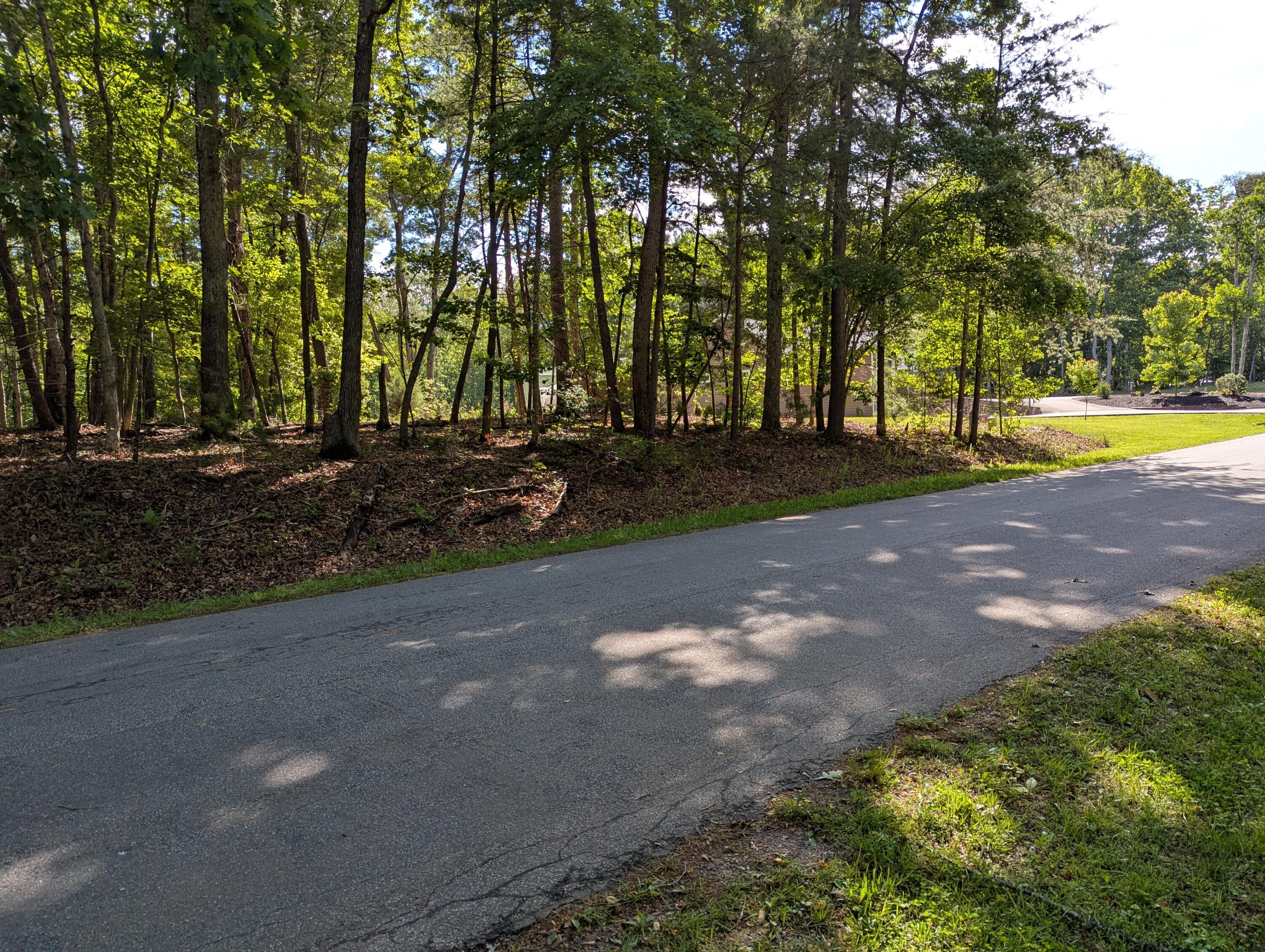 Image 2: 0 Regency Blvd
