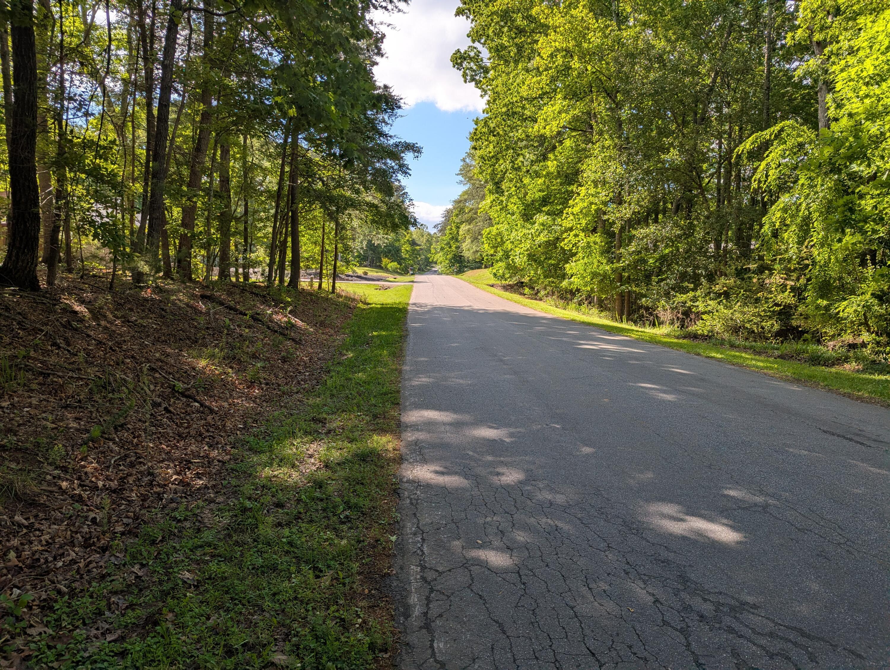 Image 4: 0 Regency Blvd