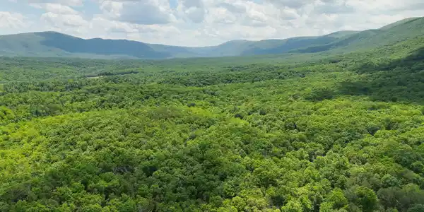 Image 4: DJI_20260528131717_0008_V