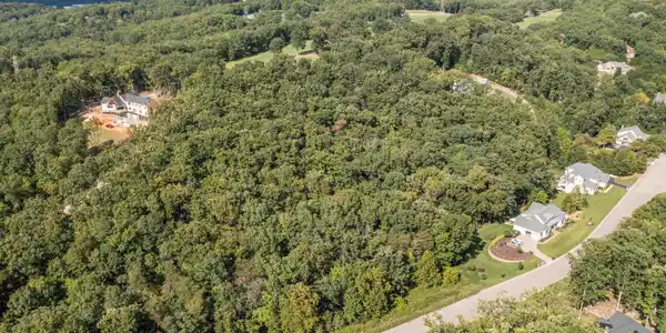 Image 3: Aerial