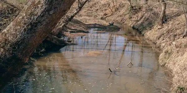 Image 3: Rice creek