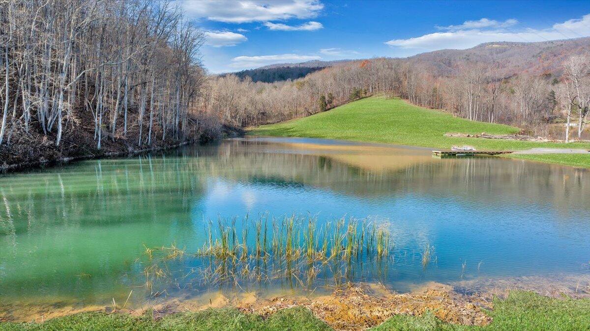 Image 4: 52-52-DJI_20241203112928_0018_D_MIB