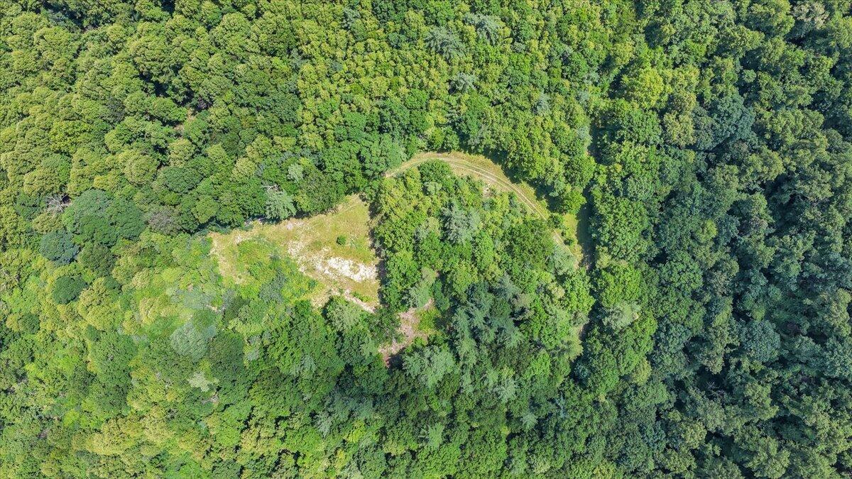 Image 2: 02-DJI_20260625142238_0185_D