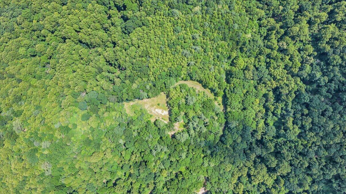 Image 3: 03-DJI_20260625142224_0184_D