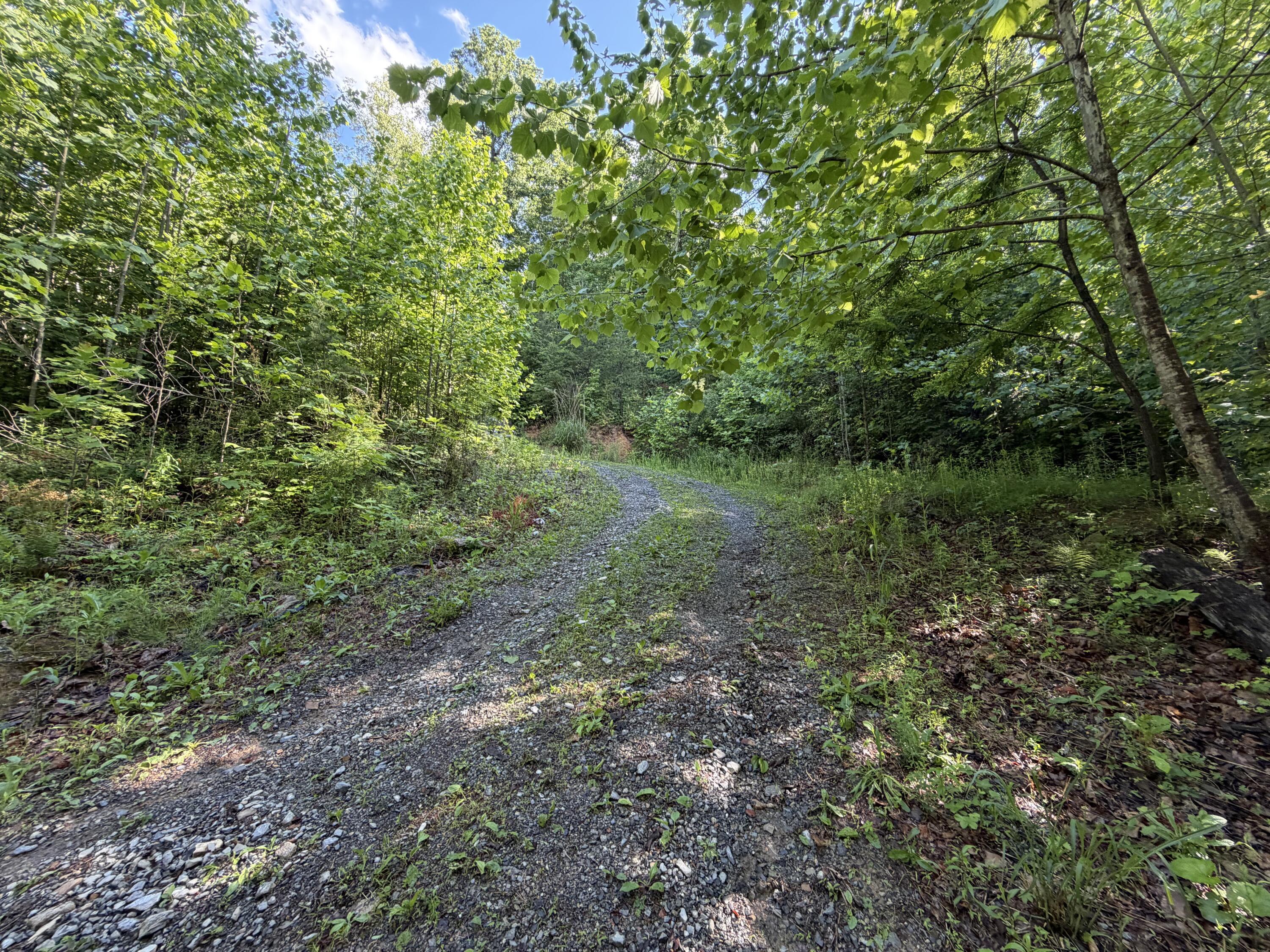 Image 3: IMG_6358