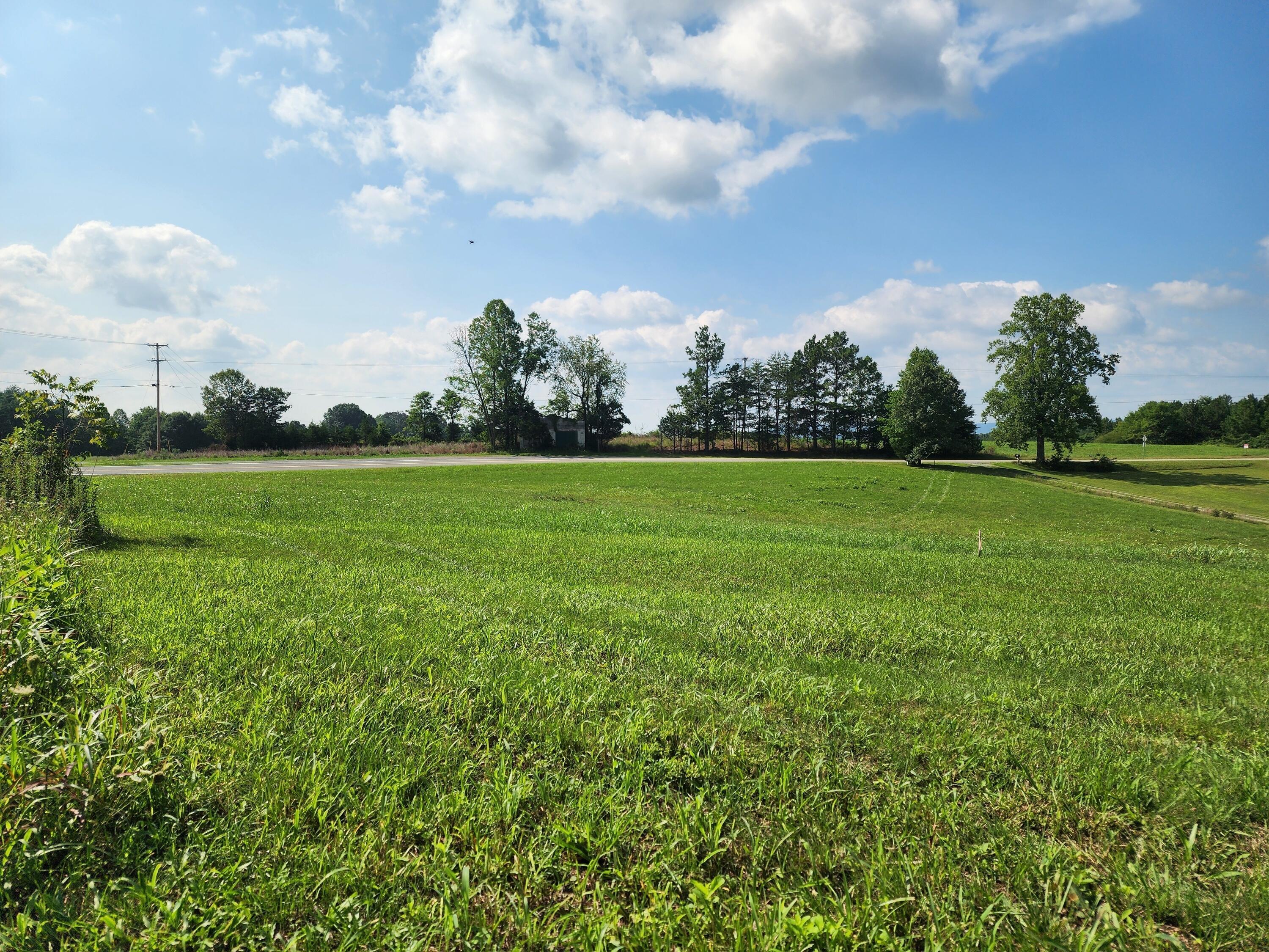 Image 1: Lot 1A pic