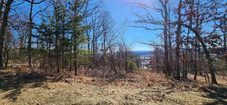 Lot 46 Summit DR