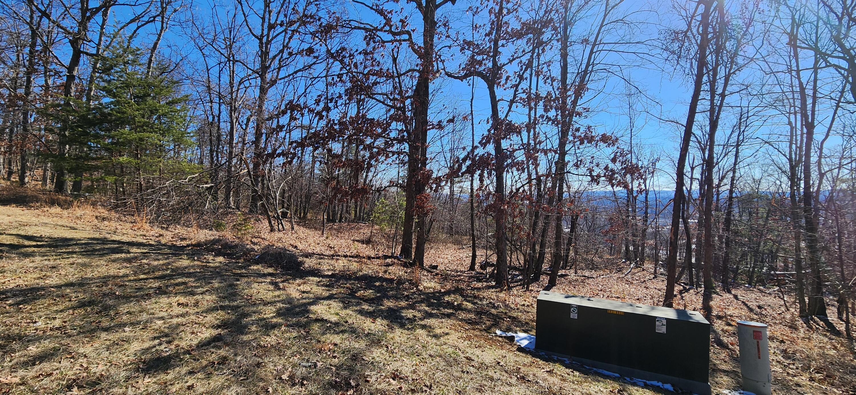 Image 2: Lot 46