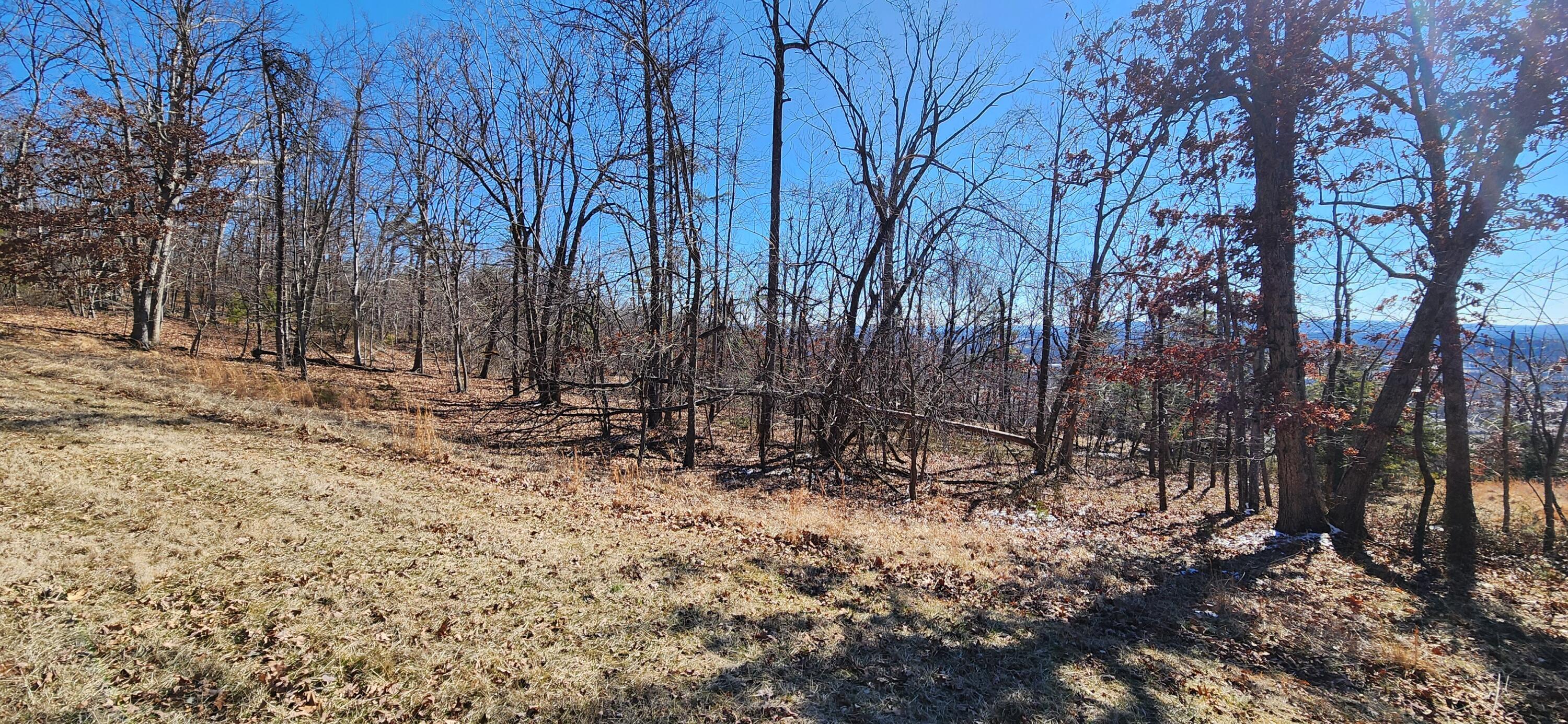 Image 2: Lot 47