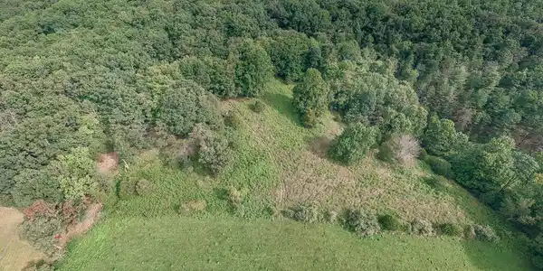 Image 4: Ryan 5