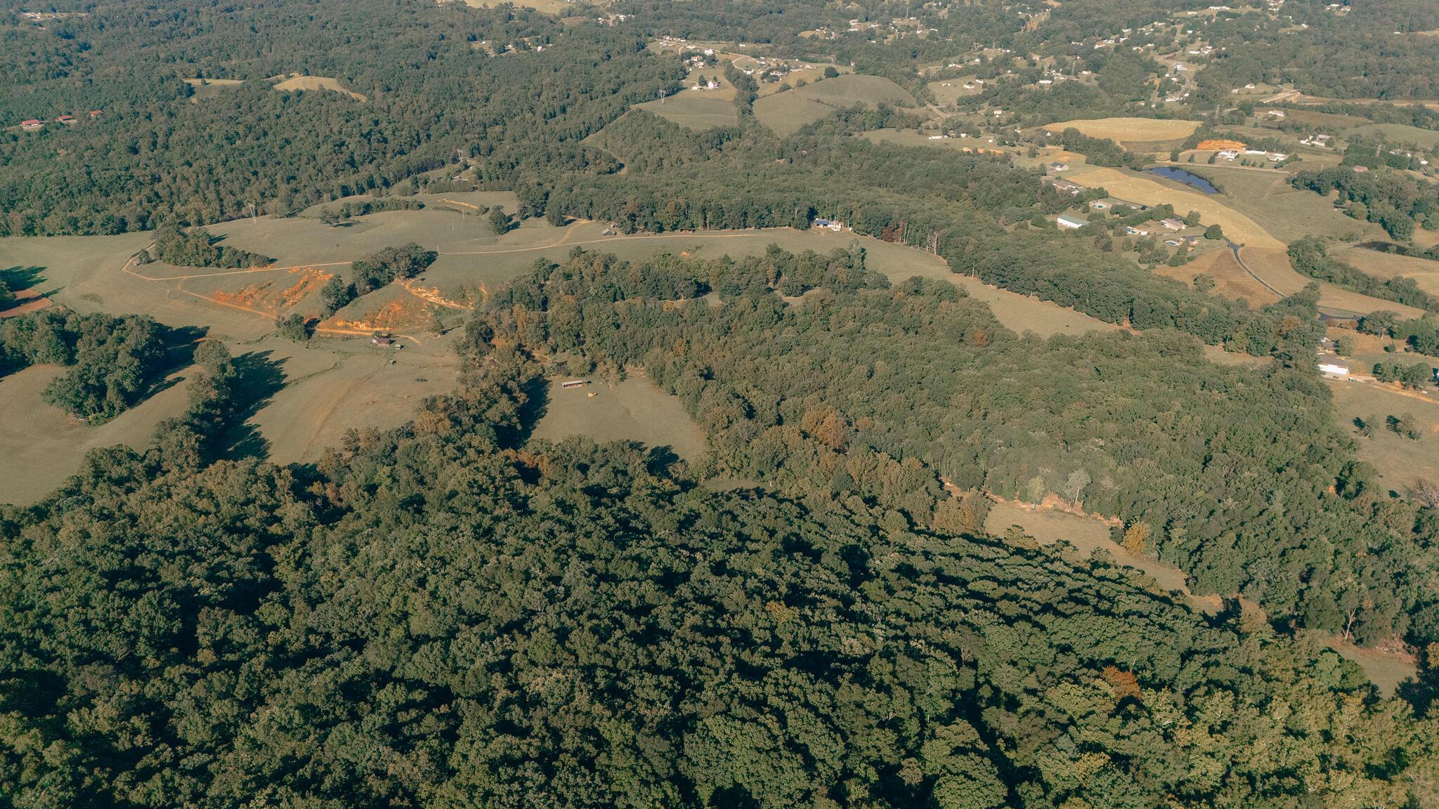 Image 4: Foster pic 4