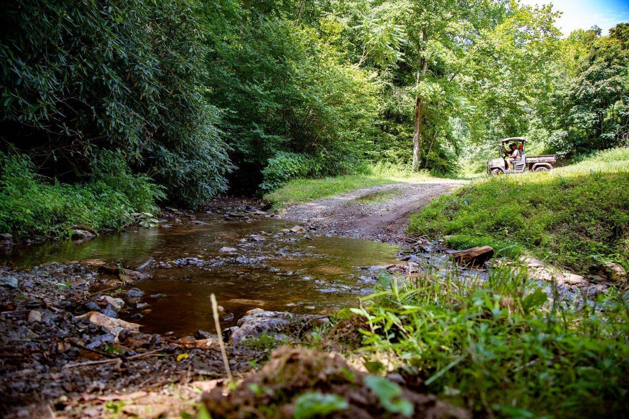 Image 4: Cabin-Property--_DSC3075