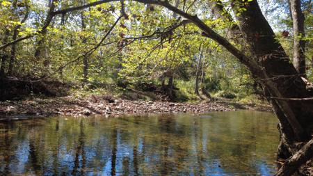 Lot #52B Potts Creek RD