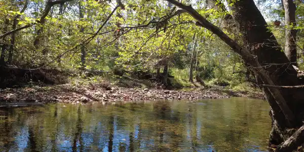 Lot #52B Potts Creek RD