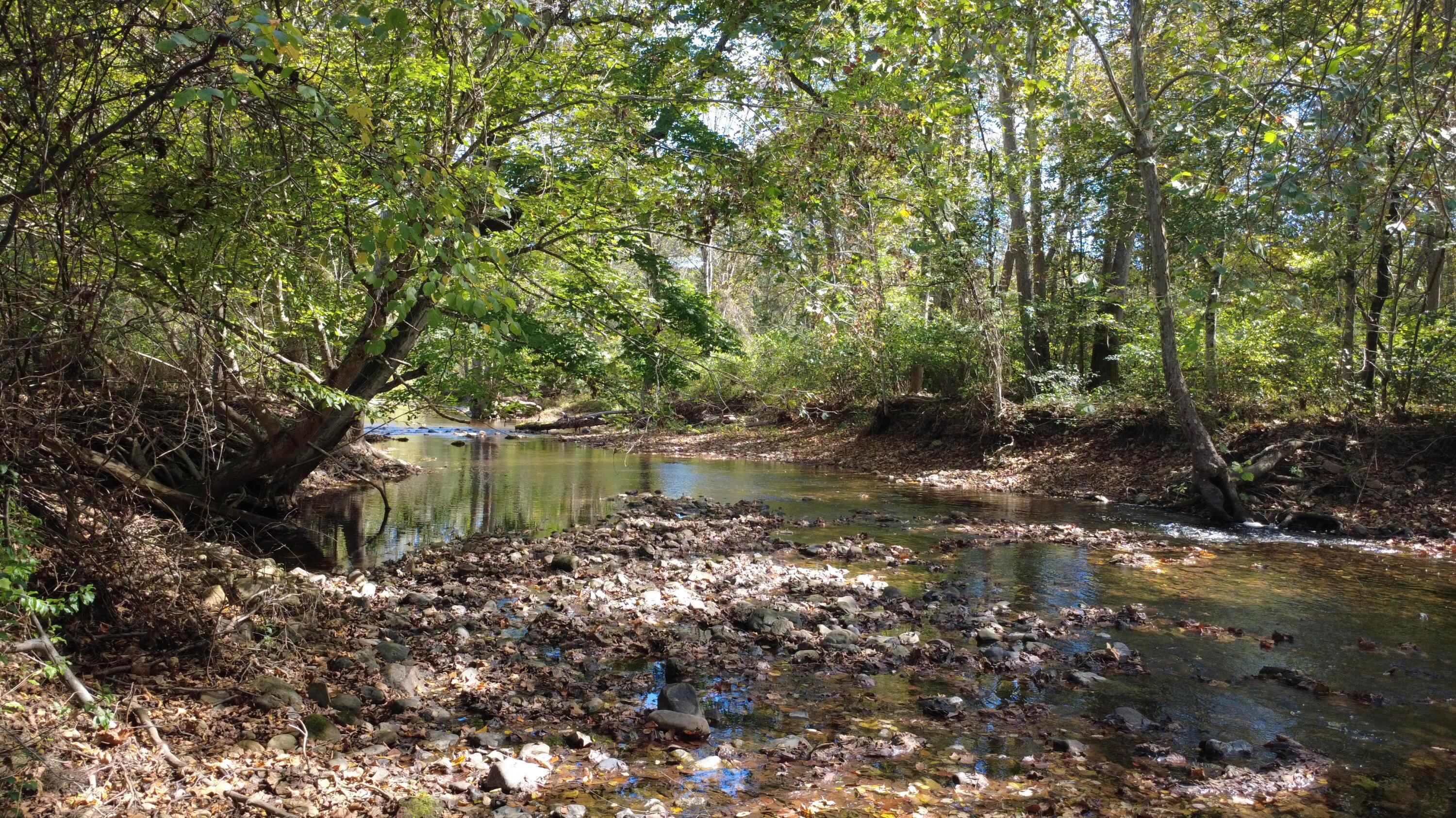 Image 3: creek