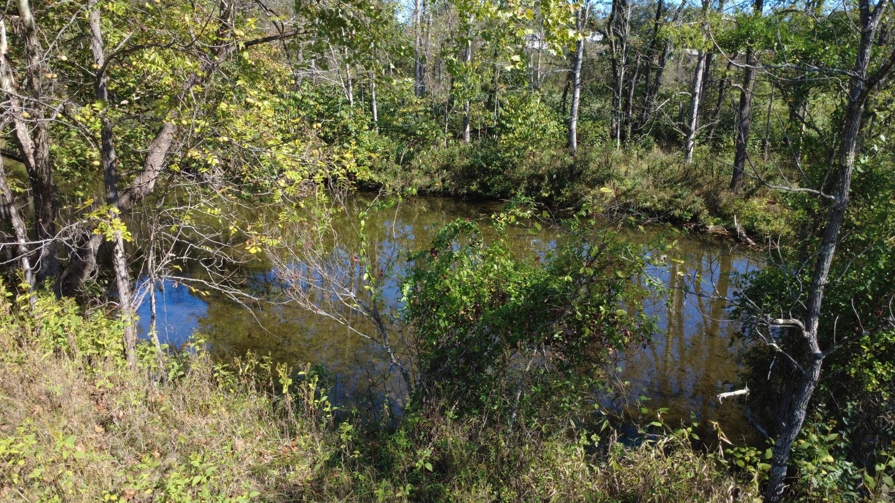 Image 4: creek