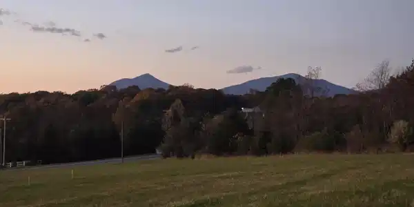 (Lot B) Moneta RD